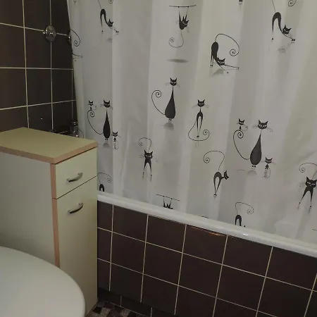 公寓 Astoria 伦策海德